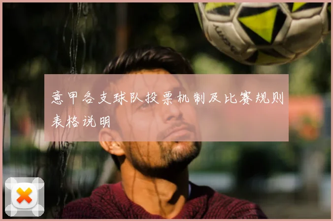 意甲各支球队投票机制及比赛规则表格说明