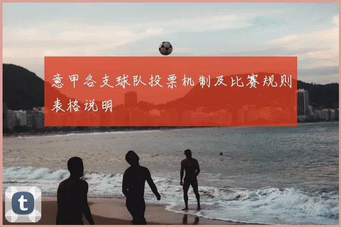 意甲各支球队投票机制及比赛规则表格说明
